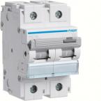  Disjoncteur 100A 2P 15kA Courb 
