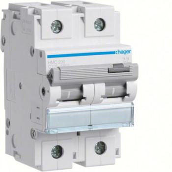 Disjoncteur 125A 2P 15kA Courb 