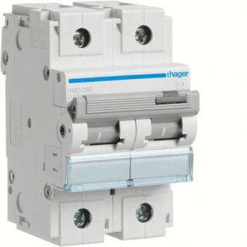  Disjoncteur 100A 2P 15kA Courb 