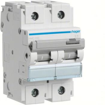  Disjoncteur 125A 2P 15kA Courb 