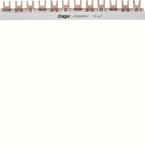  Barre de pontage 1P 100A  fou 