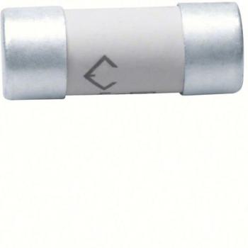  Cartouche Fusible cylindrique 