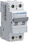  Disjoncteur 16A 2P 25kA Courbe 