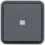  Bouton poussoir 1F  voyant t 