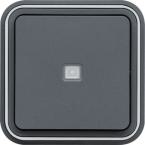  Bouton poussoir 1F voyant tmo 