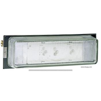  Luminaire LSC tle verre Evacu 